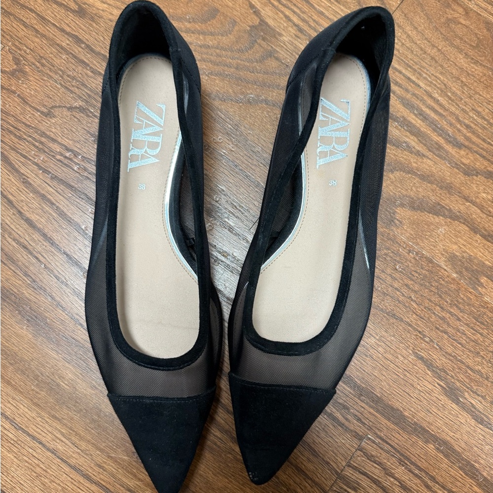 Zara Black Partially Sheer Pointed Loafers